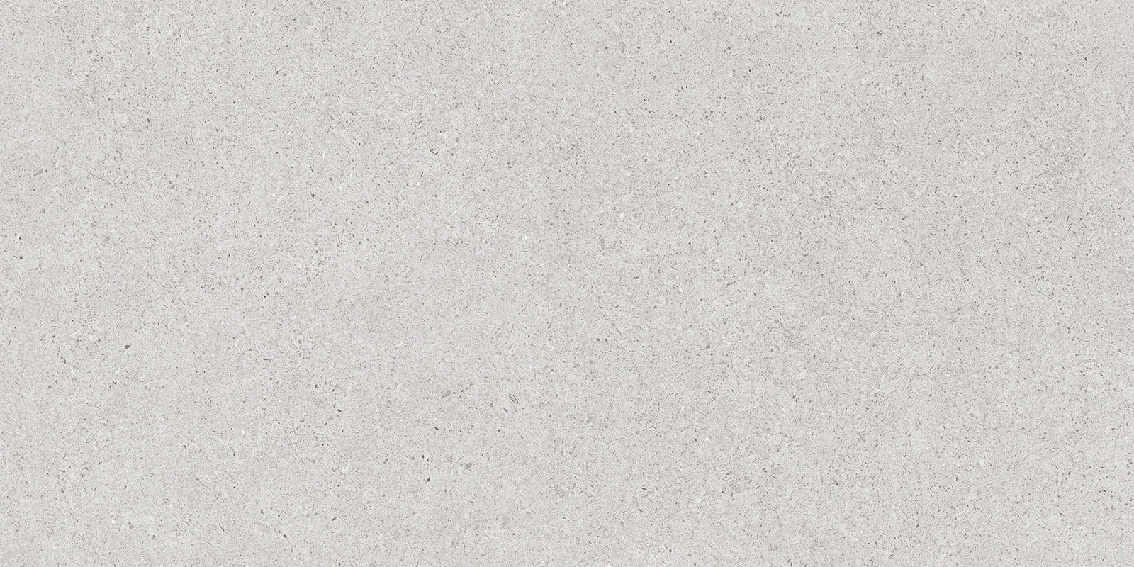 FRENCH-STONE-LIGHT-GREY-MATT-RAN6-R10-60x120cm